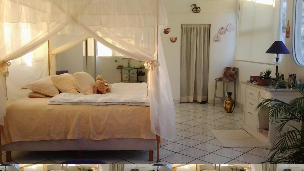 Boutique Basic Hotel Пуэрто-Вальярта Экстерьер фото